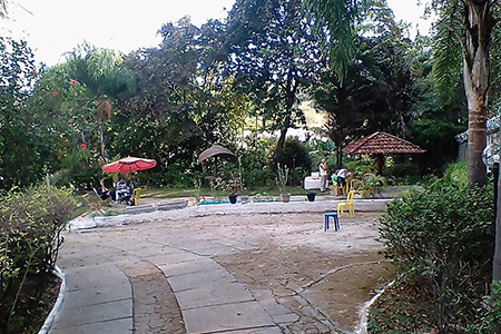 Núcleo Fênix